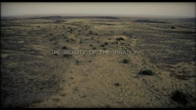 the beauty of the irrationnal