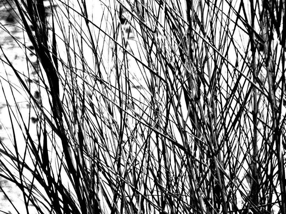 Donner un effet dessin au fusain à vos photos