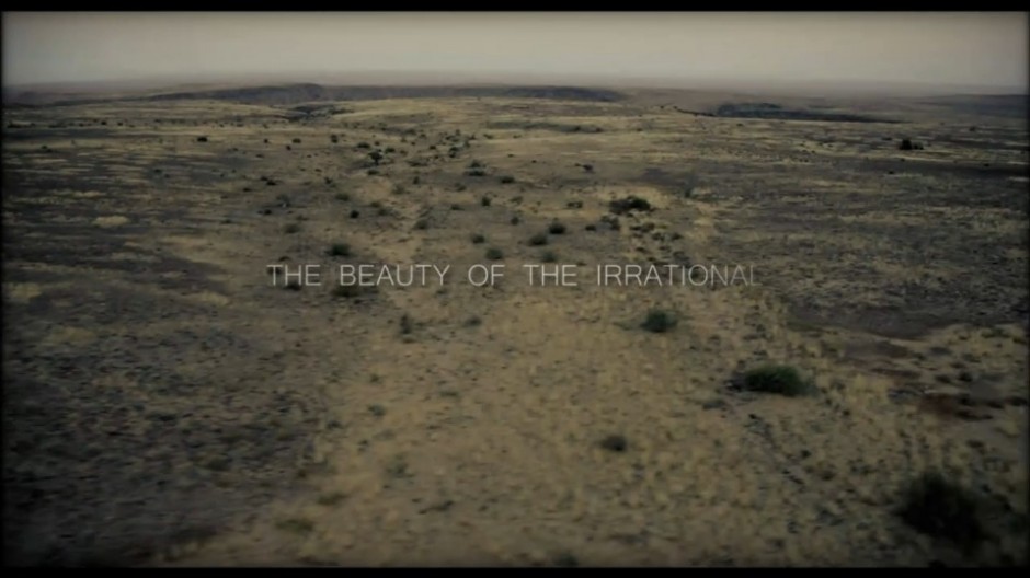 The Beauty of the Irrational