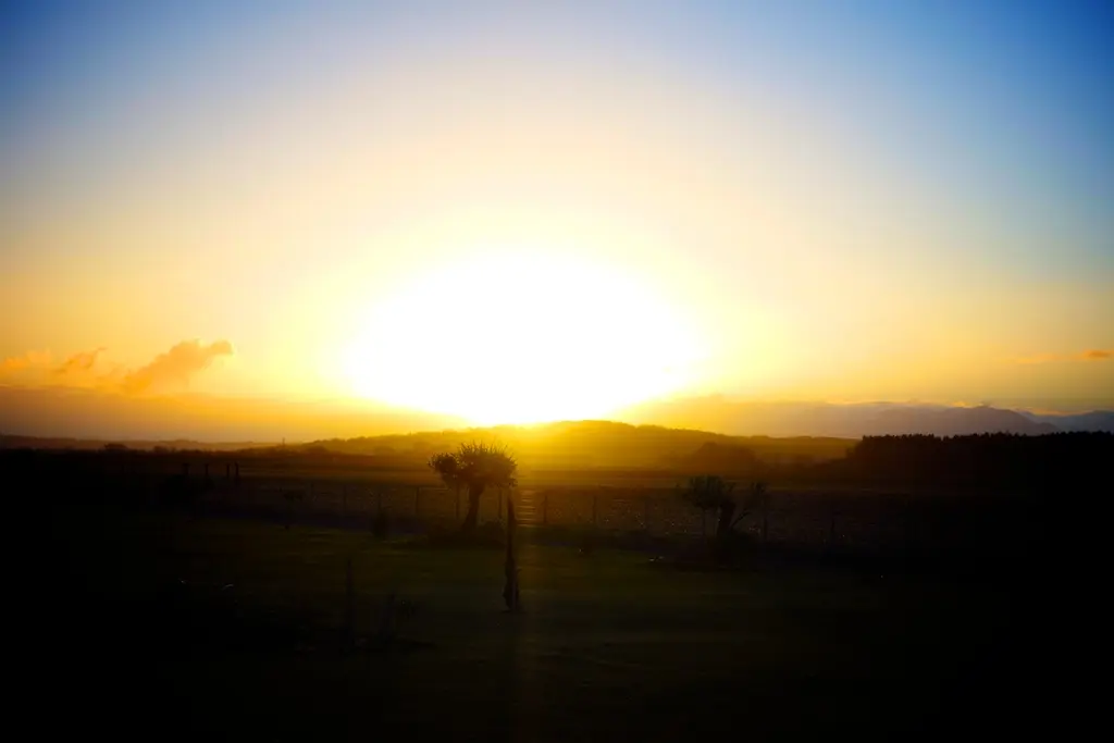 2013 arrive avec son lot de bonnes résolutions