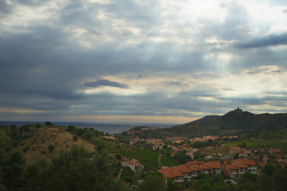 honda civic collioure road trip