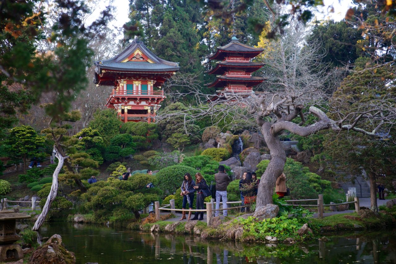 projectSFO - Moment de détente au Japanese Tea Garden