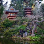 projectSFO - Moment de détente au Japanese Tea Garden