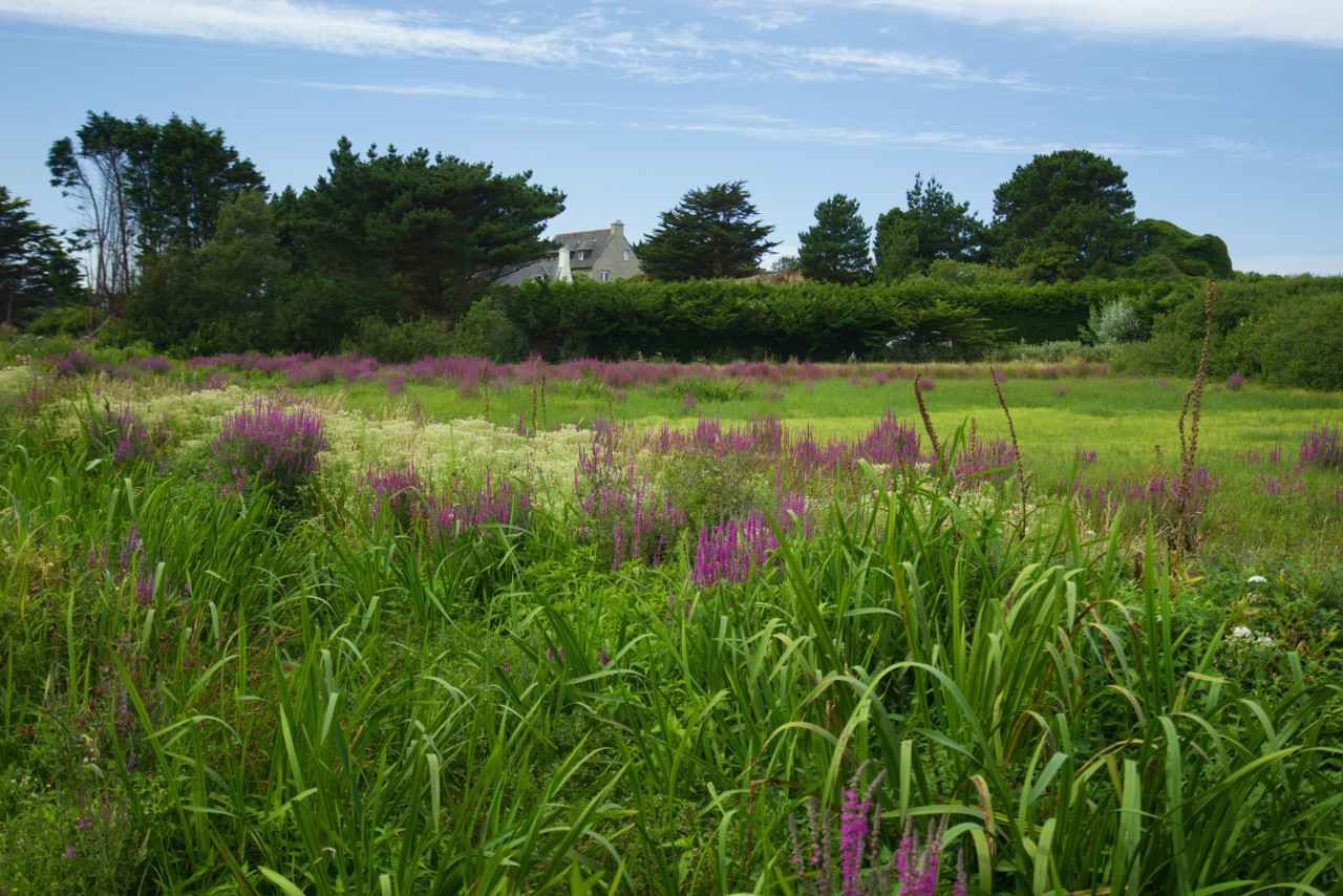 paysage bretagne lokan