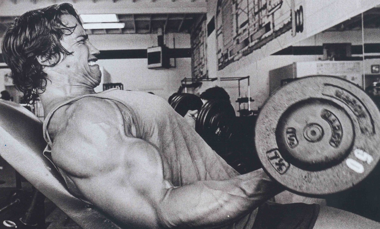 arnold biceps