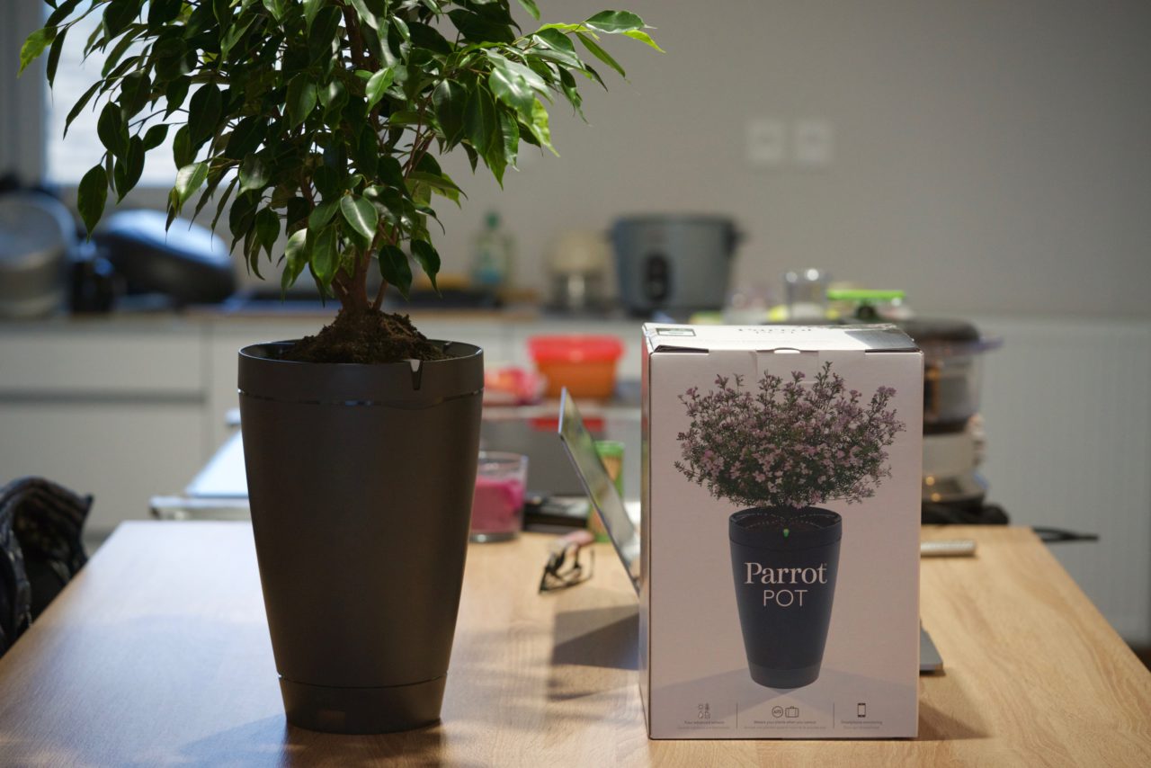 Test du pot connecté Parrot POT