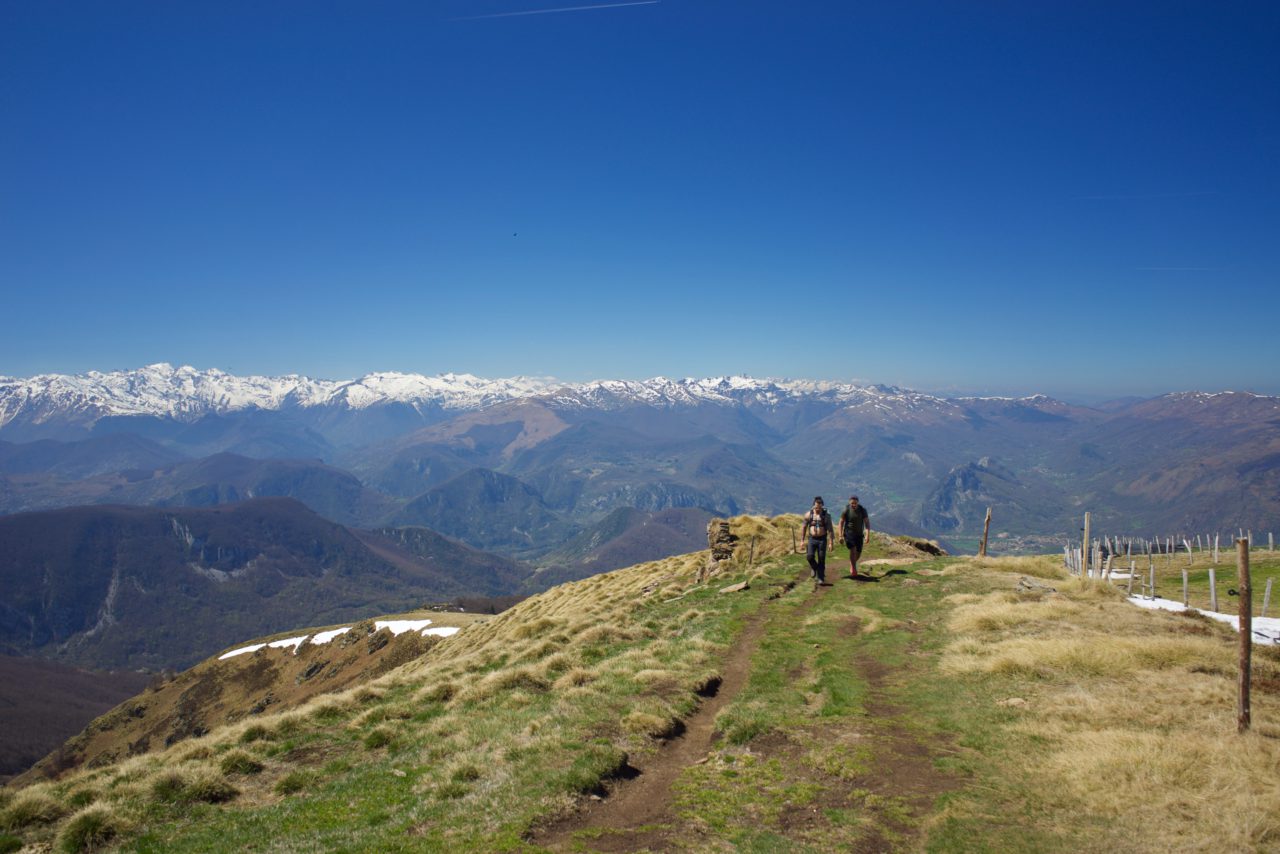 Topographie de la randonnée vers le Mont Fourcat  (Tarascon sur Ariège)