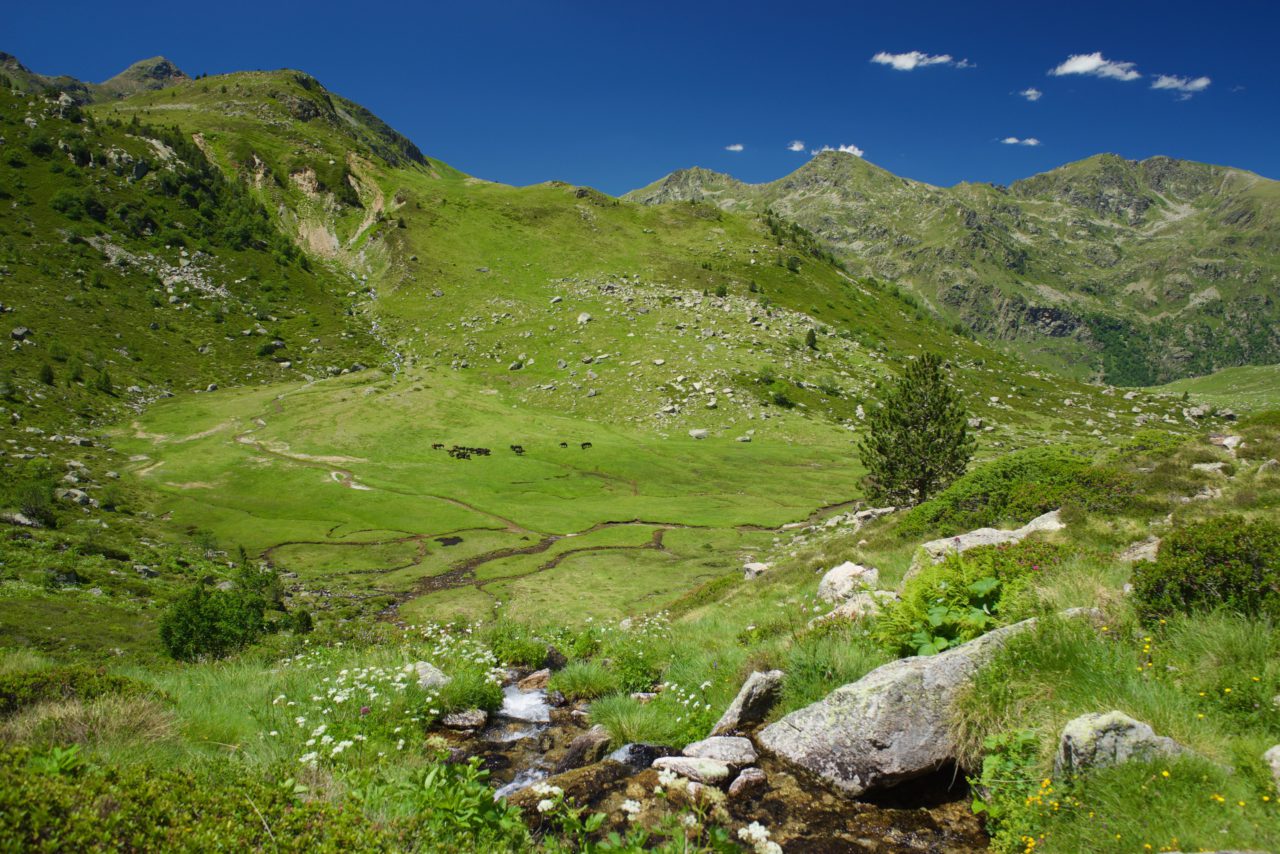 chevaux vallee refuge