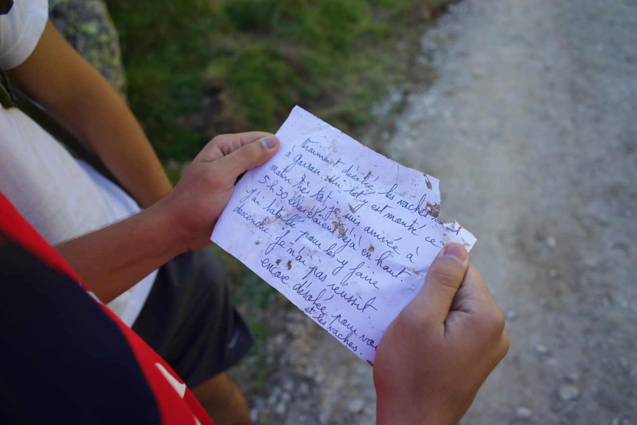 refuge du rulhe vaches lettre