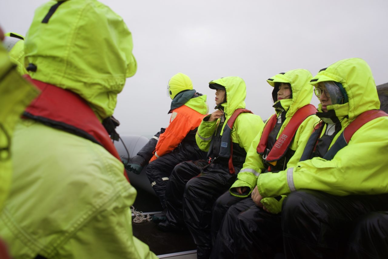 Islande - Jokulsarlon zodiac