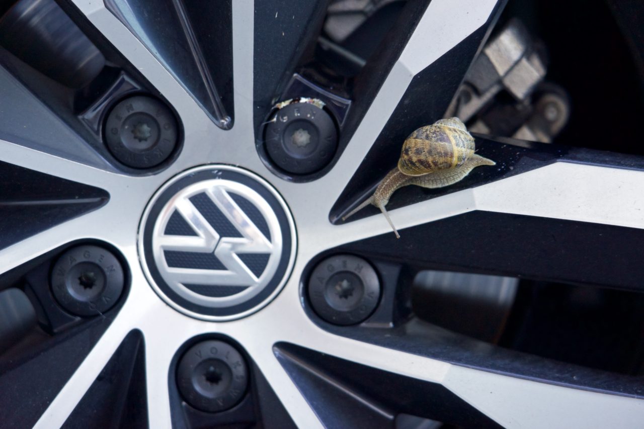 escargot jante volkswagen