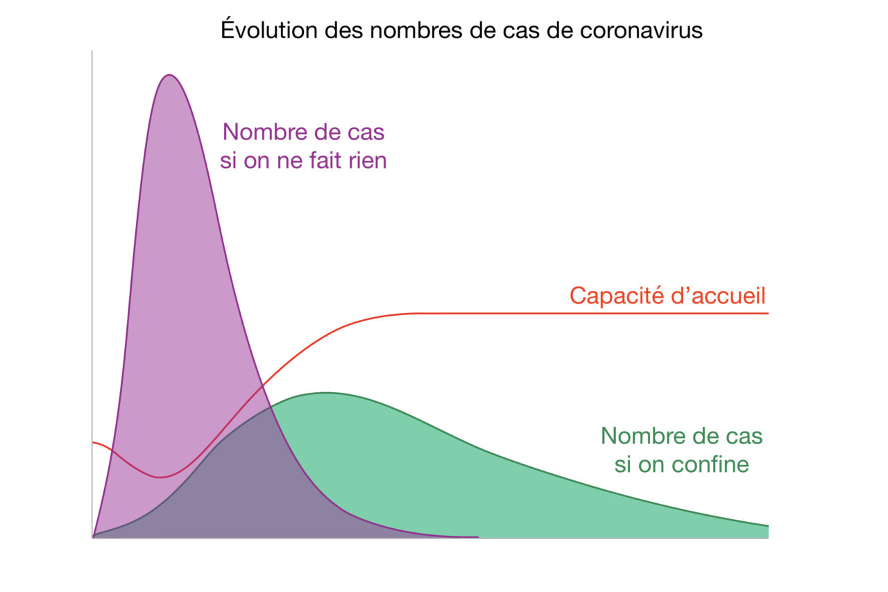 courbes coronavirus