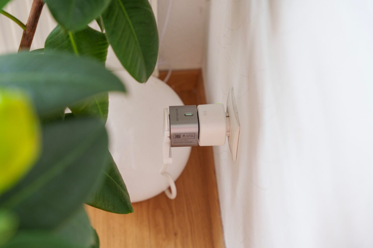 ecoflow smart plugs